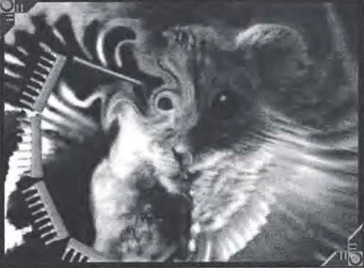 Chimera