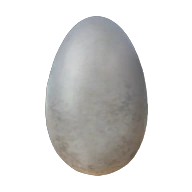 Iguana Egg