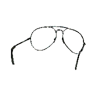 Johnnys Aviators