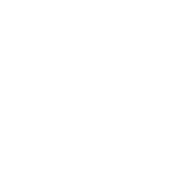 Bullet Ballet