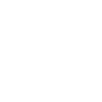 Run N Gun