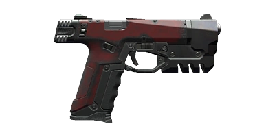 Rook