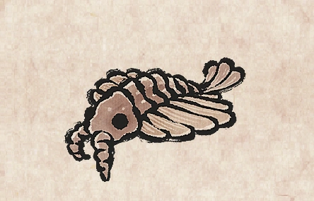 Anomalocaris