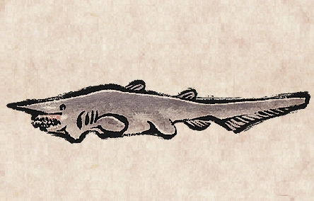 Goblin Shark