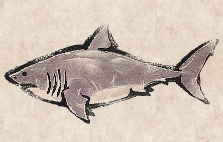 Great White Shark Klaus
