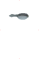 Arandaspis