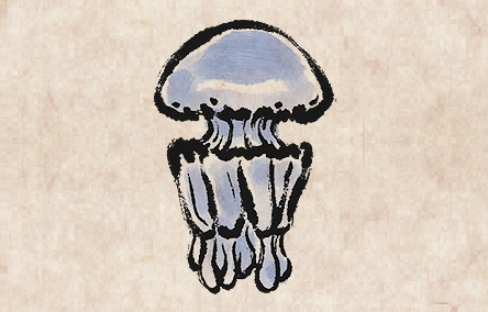 Barrel Jellyfish