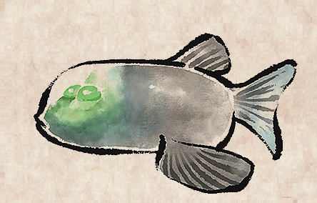 Barreleye