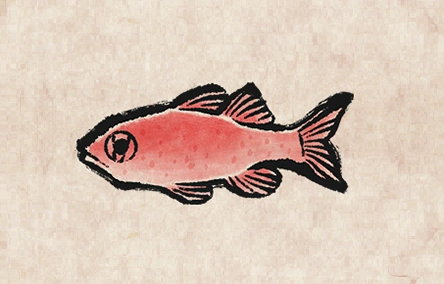 Cardinal Fish