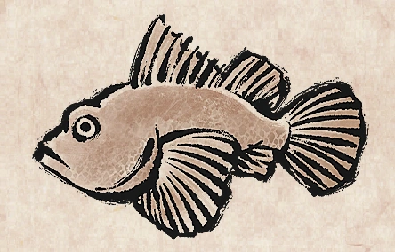 Devil Scorpionfish