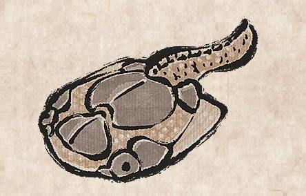 Drepanaspis