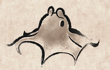 Dumbo Octopus