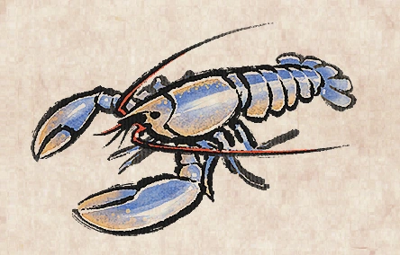 European Lobster
