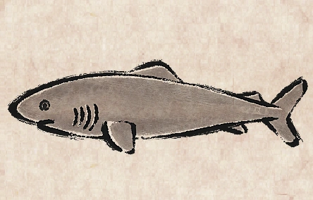Greenland Shark