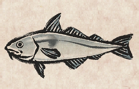 Haddock