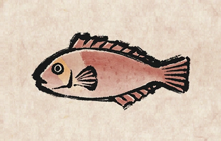 Mediterranean Parrotfish