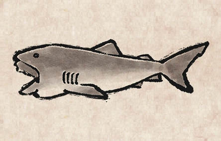 Megamouth Shark