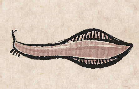 Pikaia
