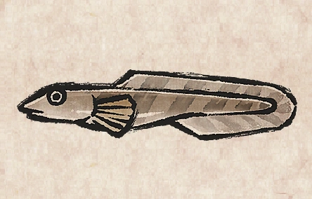 Polar Eelpout