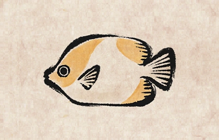 Pyramid Butterflyfish