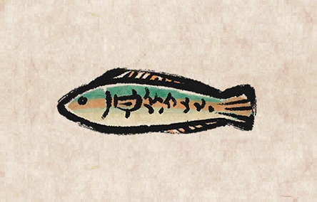 Rainbow Wrasse