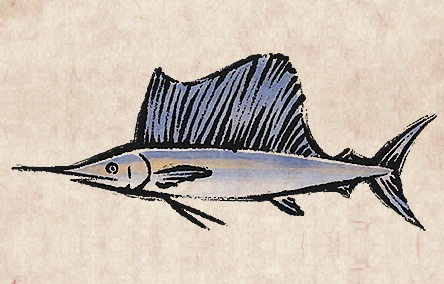 Sailfish