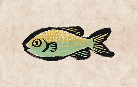 Salema Porgy