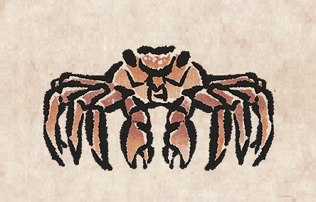 Sally Lightfoot Crab