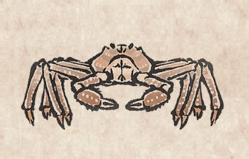 Snow Crab