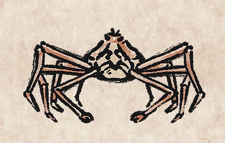 Spider Crab