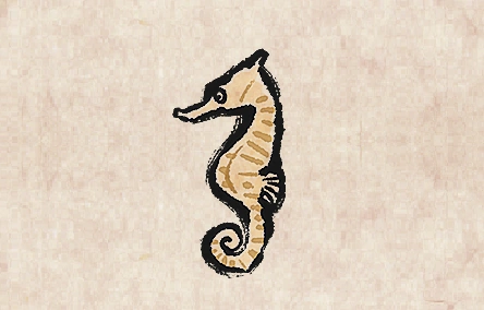 Spiny Seahorse