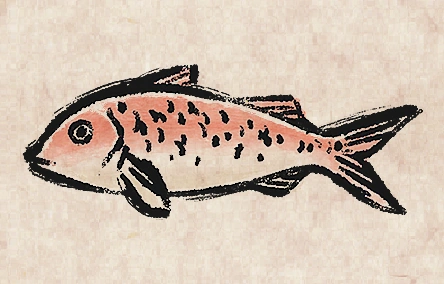Striped Red Mullet
