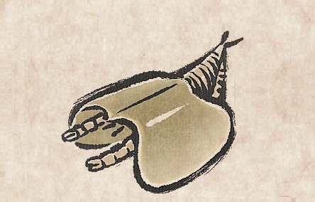 Tokummia Katalepsis