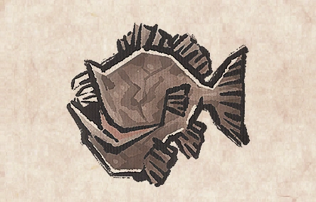 Tusked Grouper