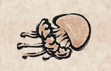 White Spotted Jellyfish