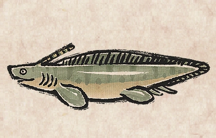 Xenacanthus