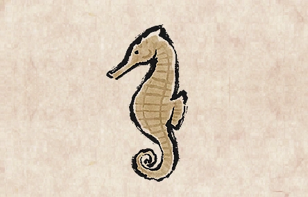 Zebra Seahorse