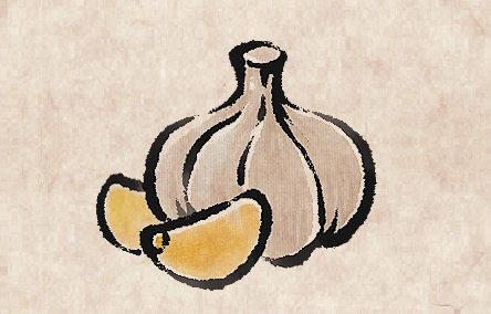Garlic