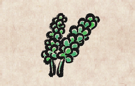 Sea Grape