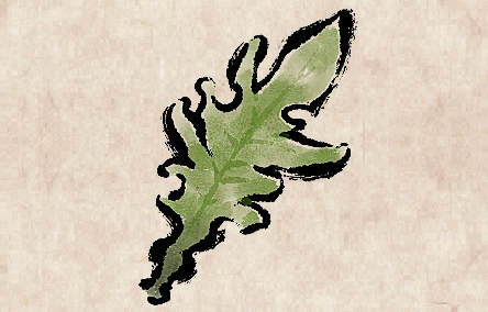 Seaweed