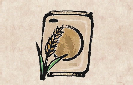 Wheat