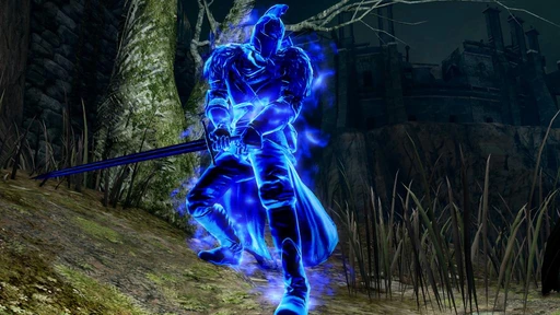 Blue Sentinels