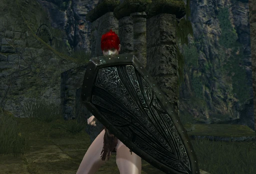 Black Knight Shield
