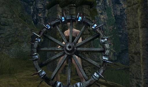 Bonewheel Shield