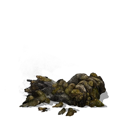 Excrement Covered Ashes