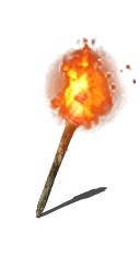 Followers Torch