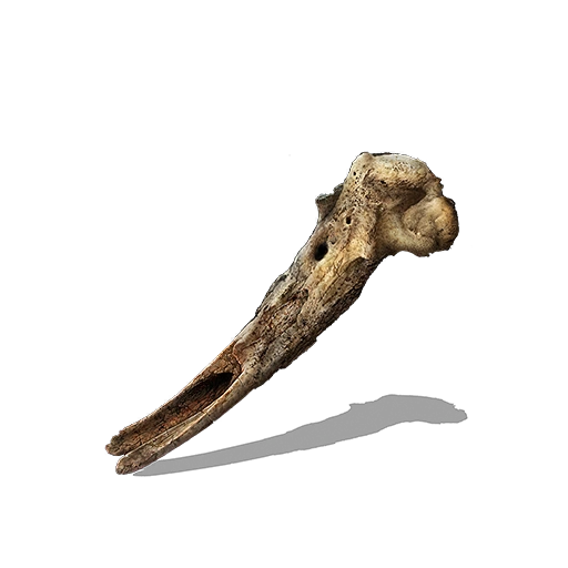 Lorettas Bone