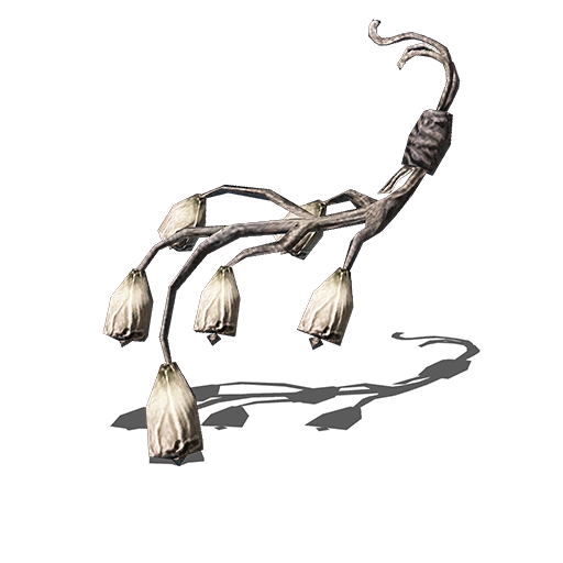 Saint-tree Bellvine