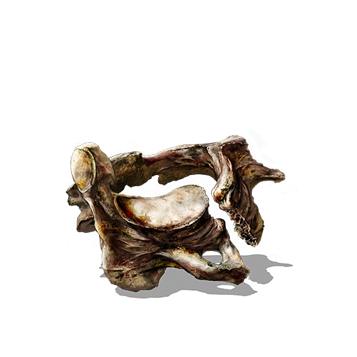 Vertebra Shackle