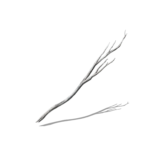 Young White Branch